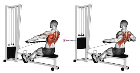 August 28, 2023 The standard cable row is well-established as an effective back exercise – but things can be boosted even further by altering the width of the lifter’s grip. This …